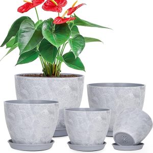 Flower Pot Indoor